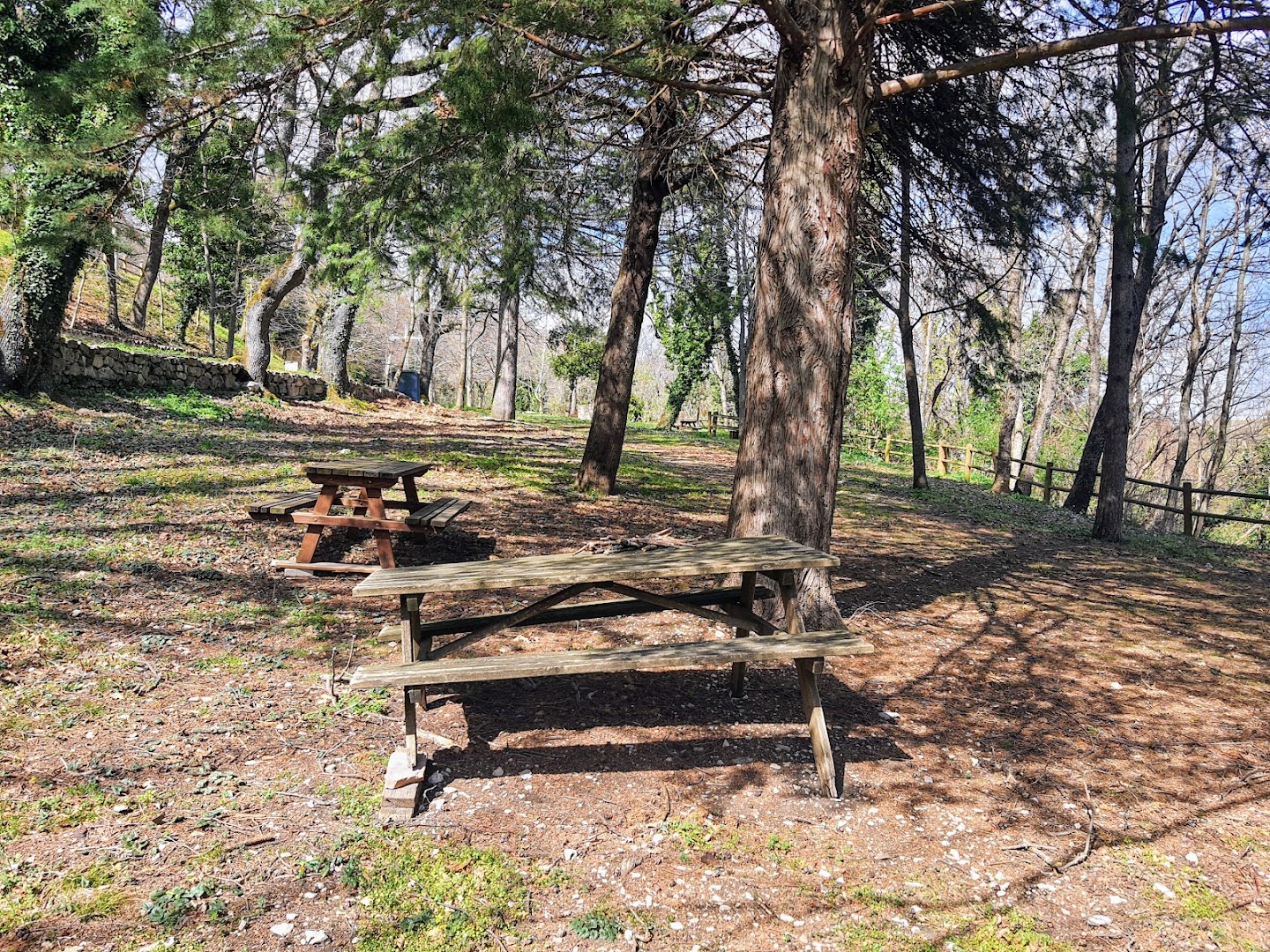 Area picnic Materdomini