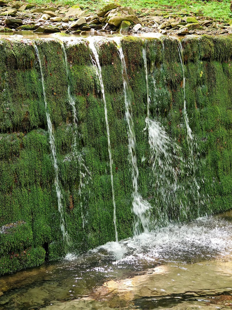 Area picnic "Scaffa del Tasso", Sestola