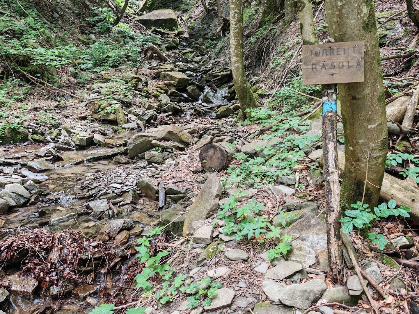 Area picnic "Scaffa del Tasso"