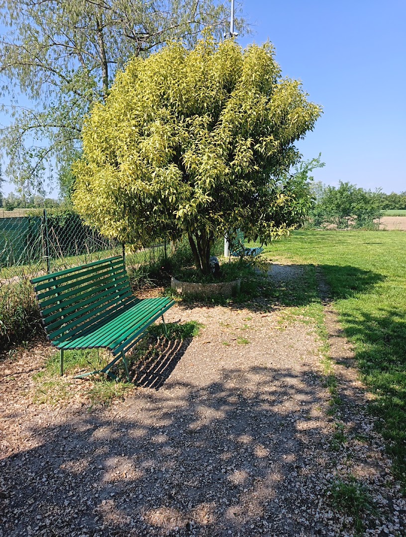 Area sgambamento cani, Nove