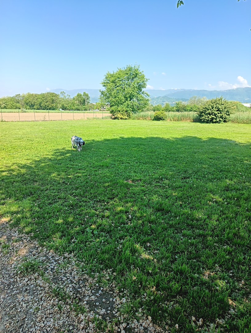 Area sgambamento cani