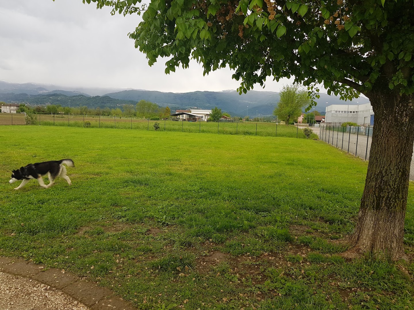 Area sgambamento cani