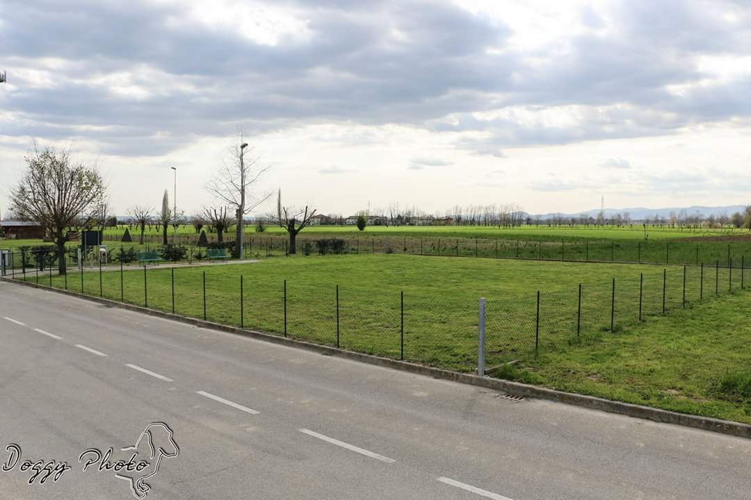 Area sgambamento cani