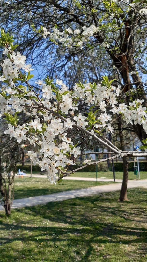 Area verde Filanda