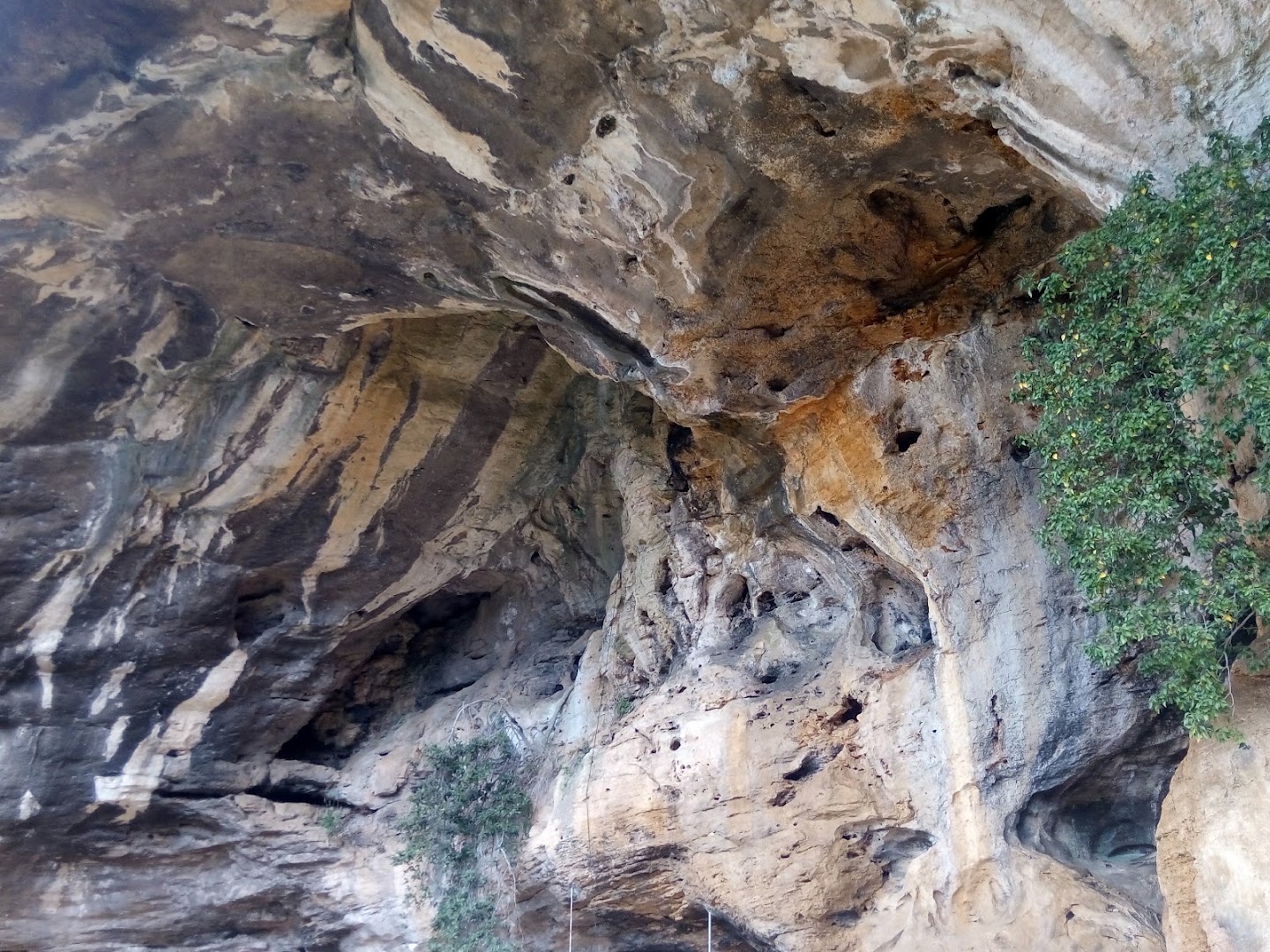 Arma delle Mànie, Finale Ligure