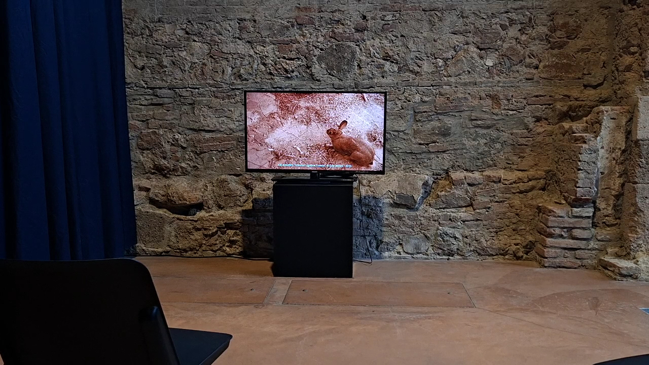 Arsenali della Repubblica di Pisa
