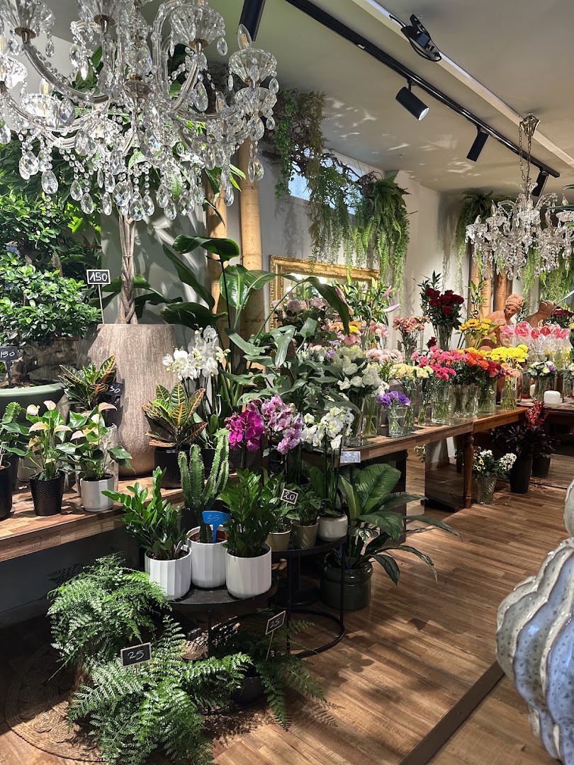 Arte e Fiori Firenze