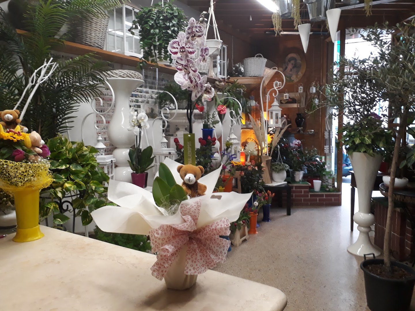 Arteflor fiori e piante di Tesoro Vito