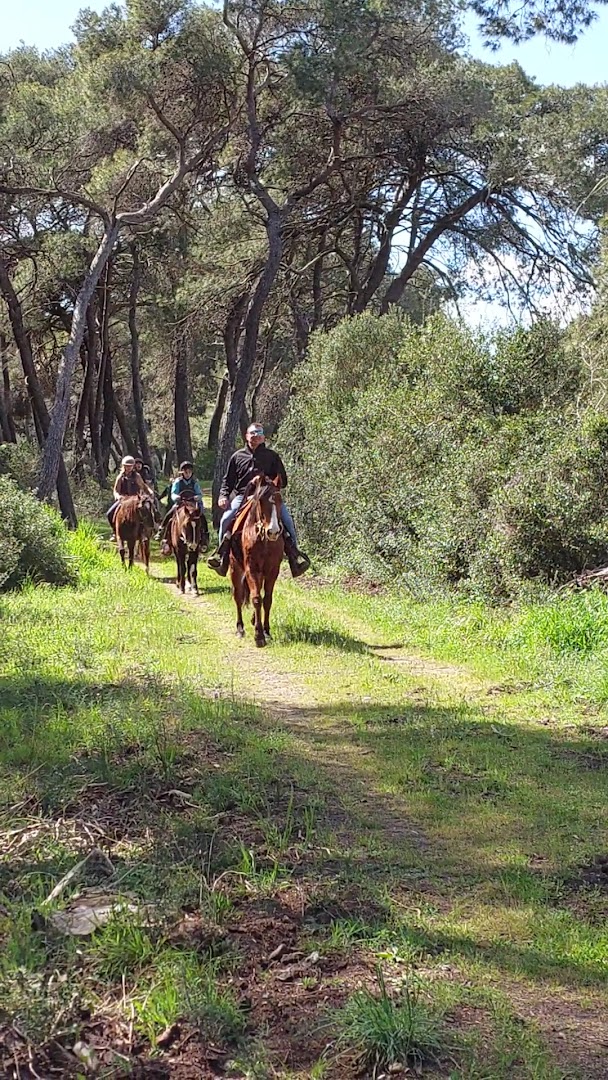 ASD APS Family Horses centro equestre