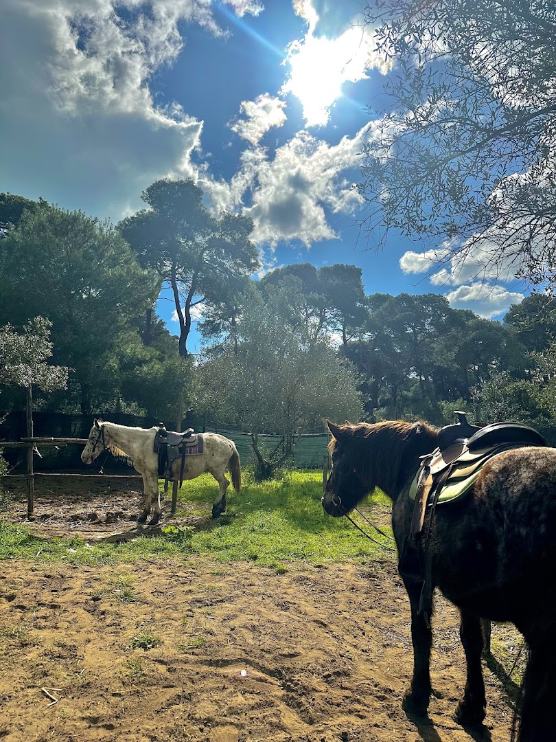ASD APS Family Horses centro equestre