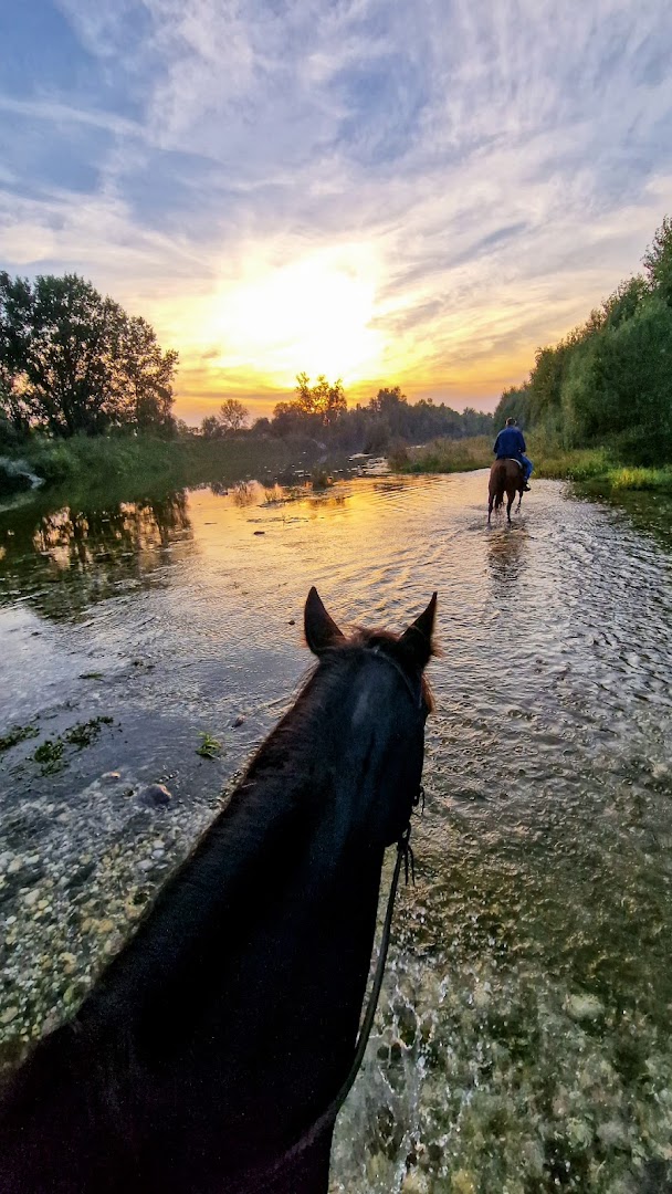 ASD EASY RANCH, Pozzoleone