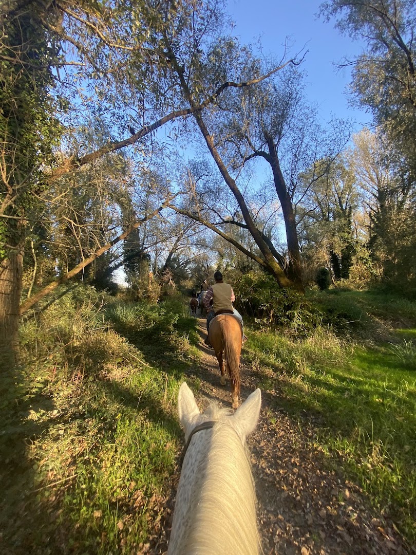 ASD EASY RANCH