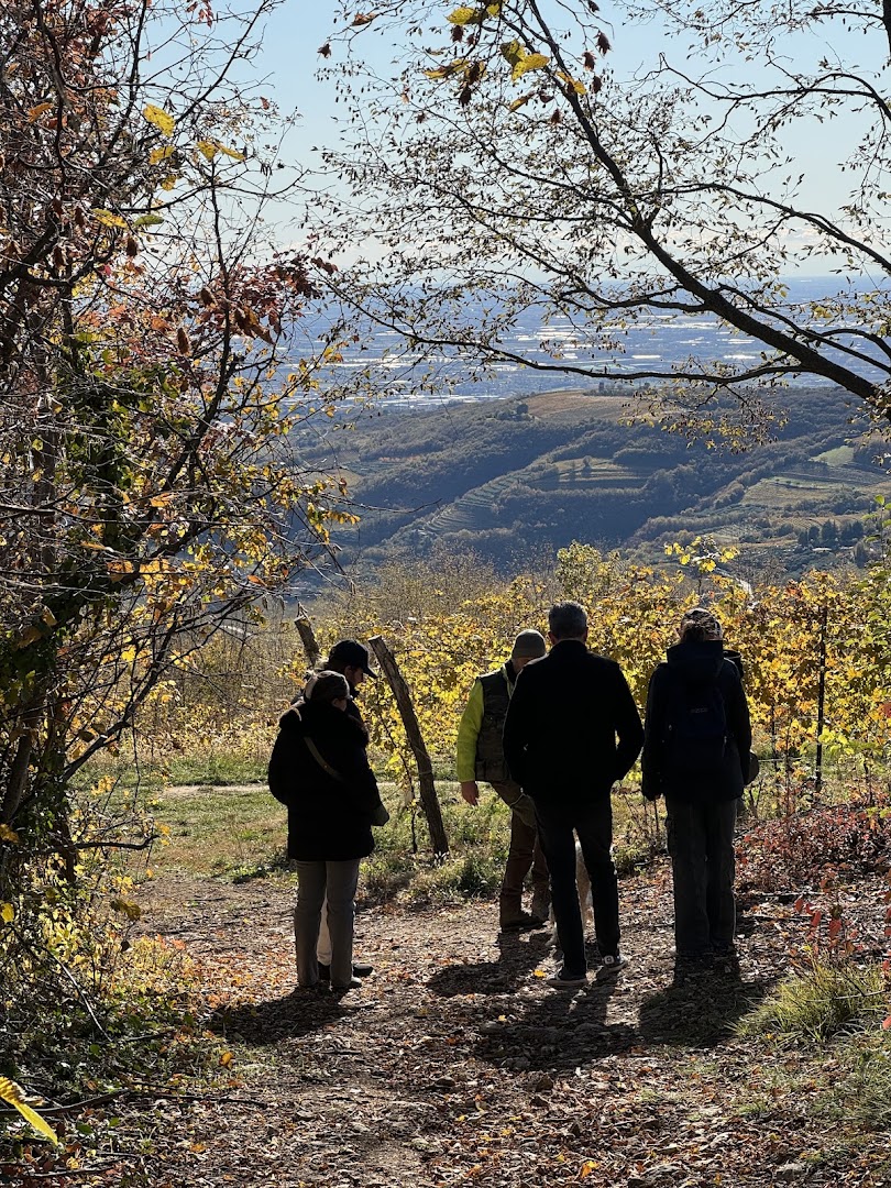asd rugiada sport & truffle hunting experience