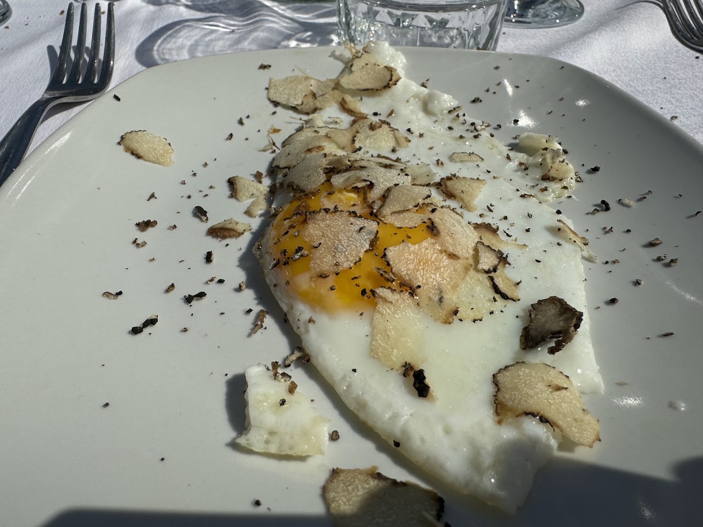 asd rugiada sport & truffle hunting experience