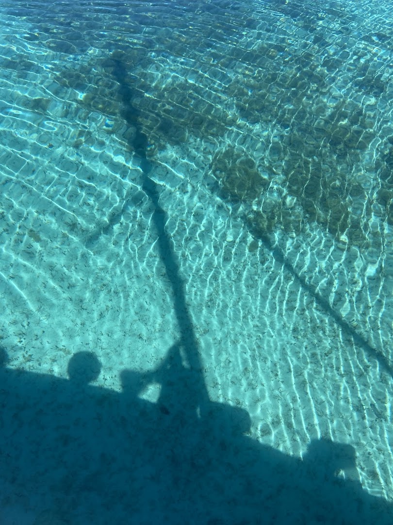 Asinara Sailing • Tour in Barca a Vela da Stintino - Sardegna, Stintino