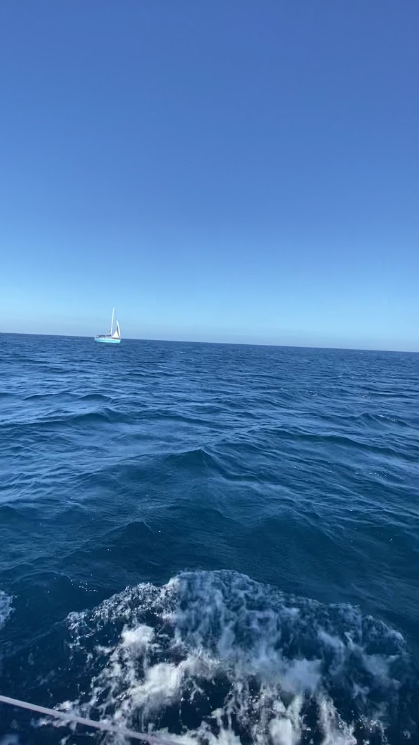 Asinara Sailing • Tour in Barca a Vela da Stintino - Sardegna