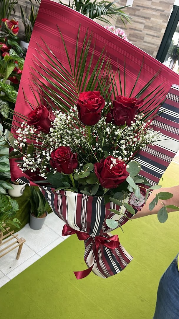 Asso di Fiori di Sberna Chiara, Anzio