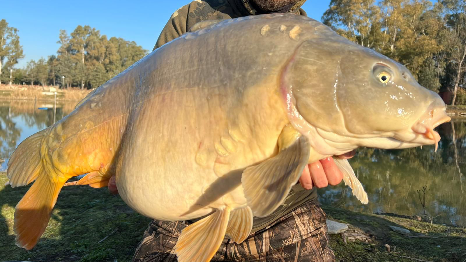 Associazione pesca sportiva - Laghetti Malvaldo
