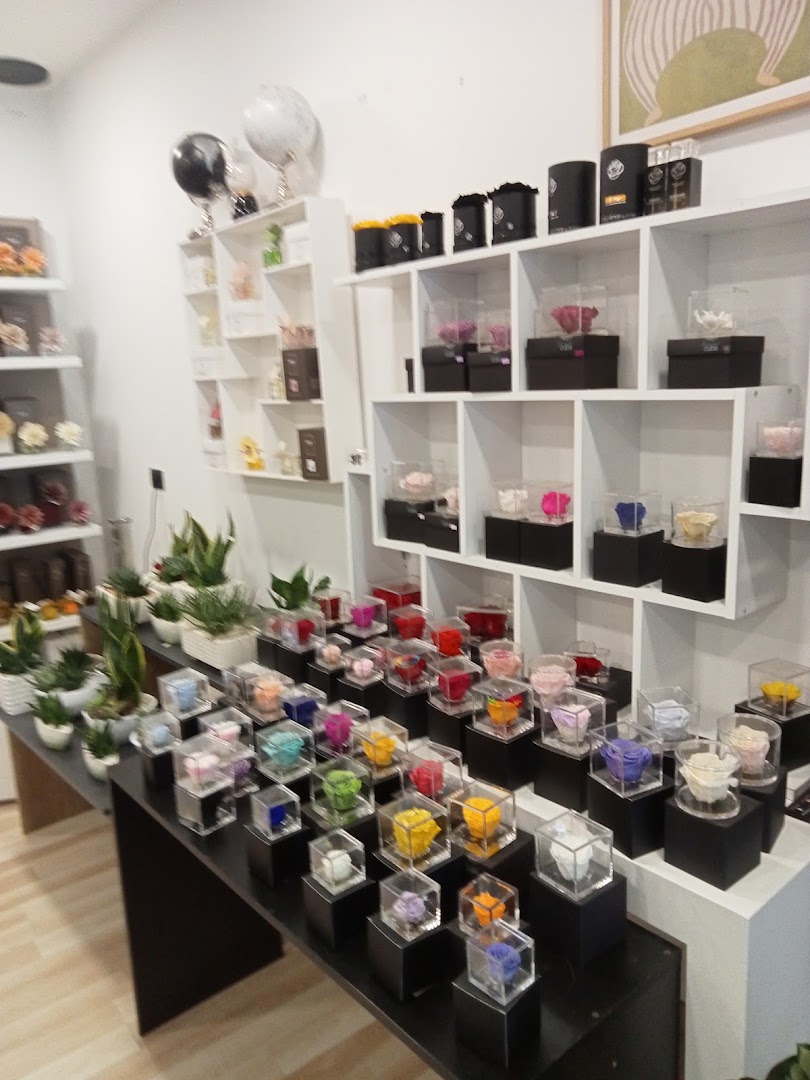 Atelier Fiorito