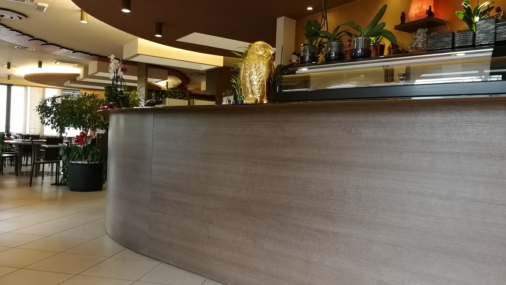 Aurora Oriental Restaurant