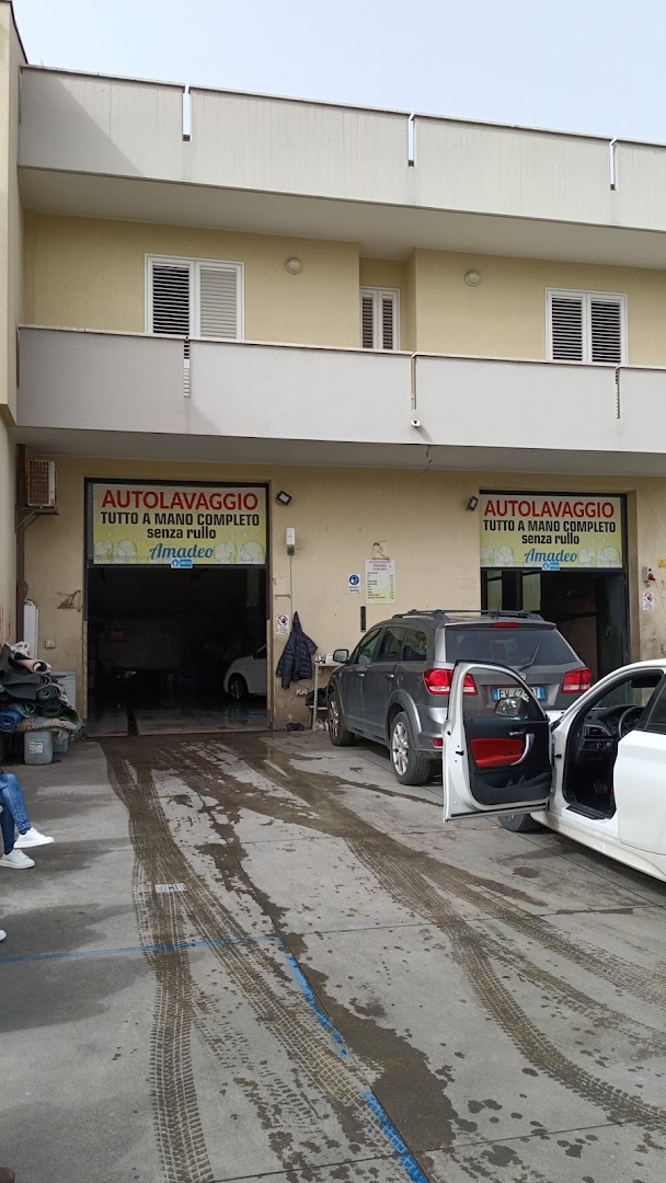 Autolavaggio tutto a mano completo Amadeo - senza rullo