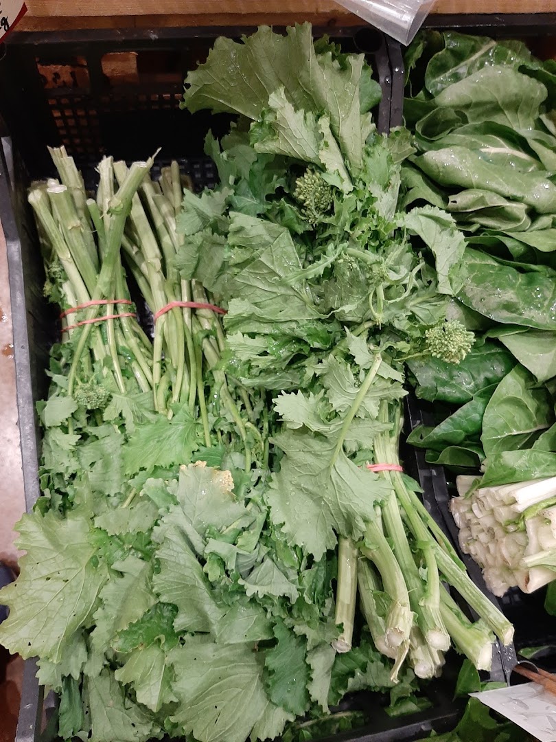 Azienda agricola AZ
