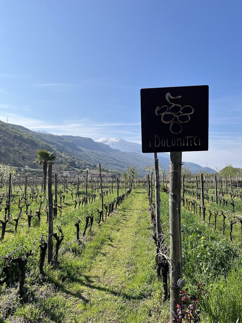 Azienda Agricola Bar Gino Pedrotti