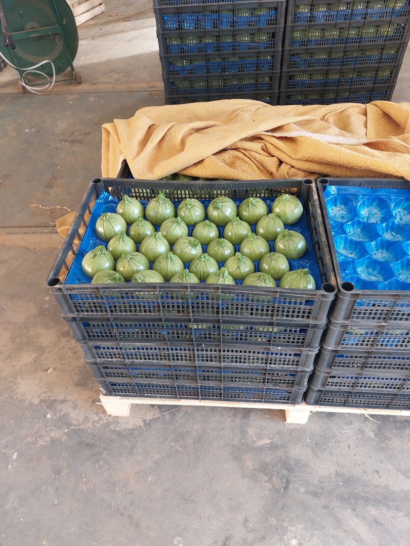 Azienda Agricola Belisario ( Fagioli Di Sarconi IGP)