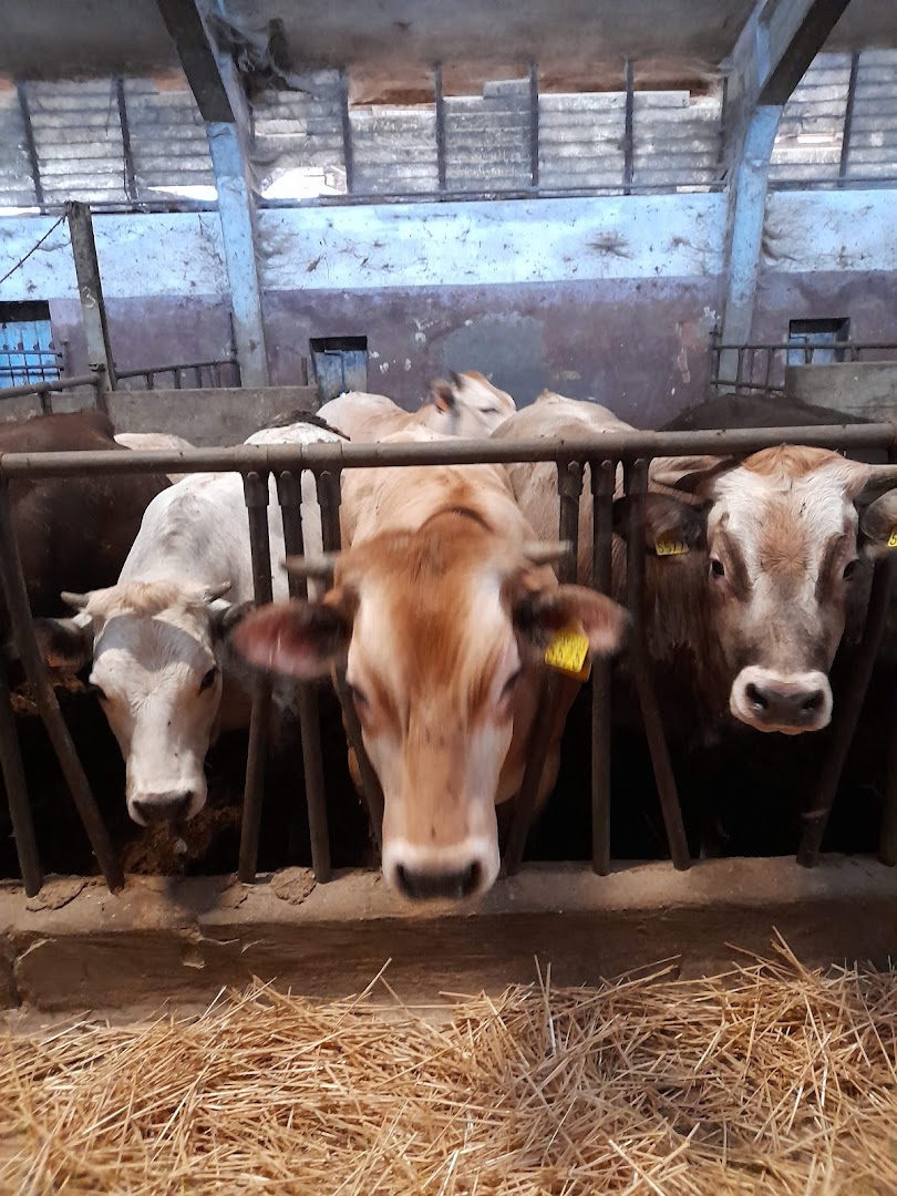 Azienda Agricola Bottazza, Casale Monferrato