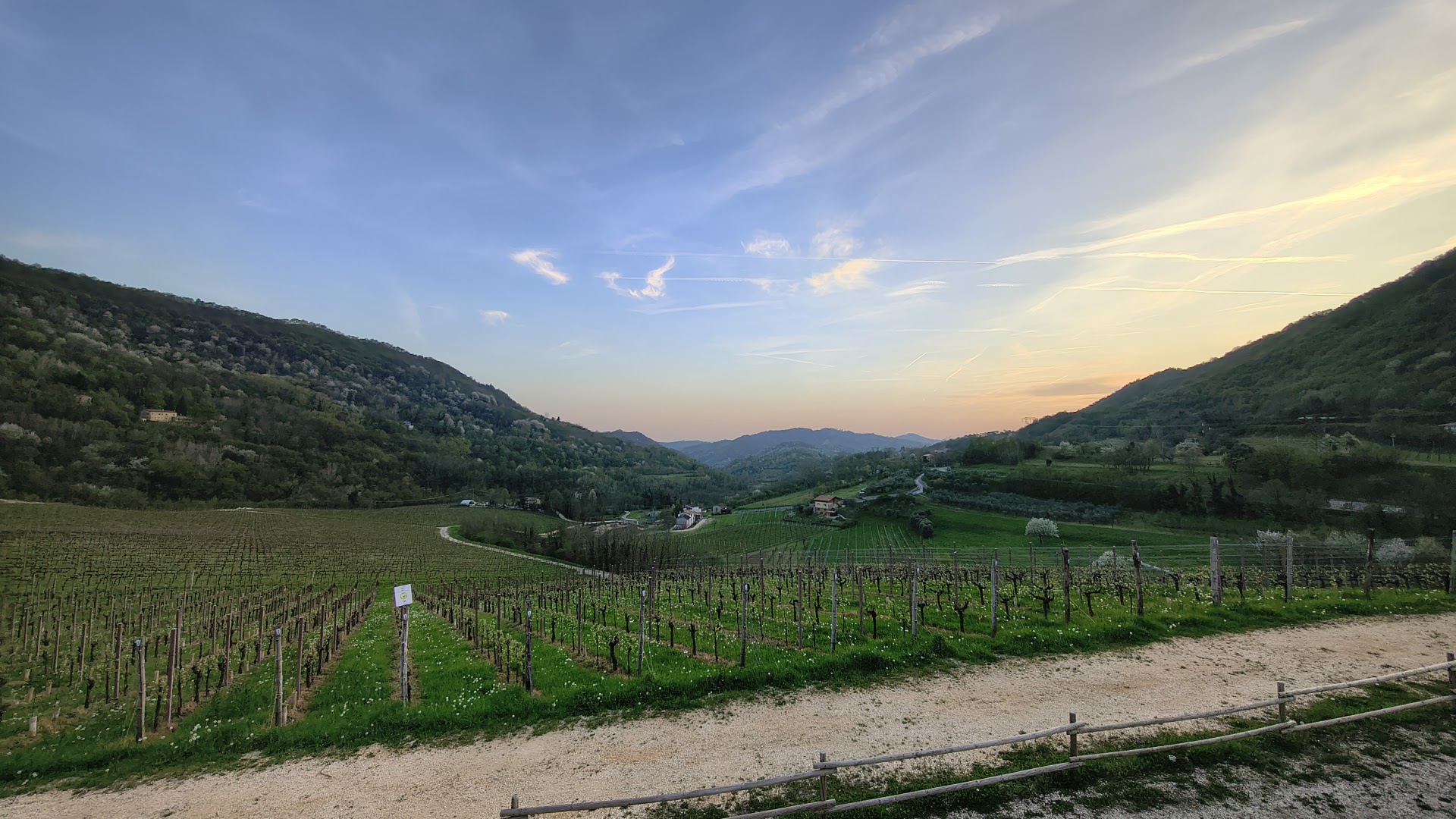 Azienda Agricola Ca' Piadera