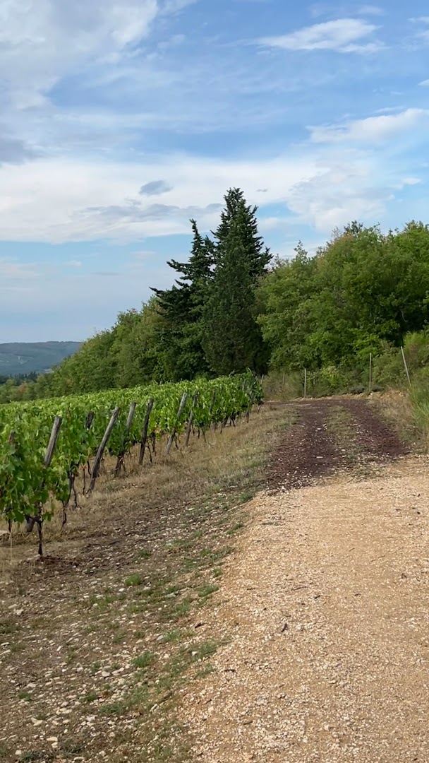Azienda Agricola Casa Emma
