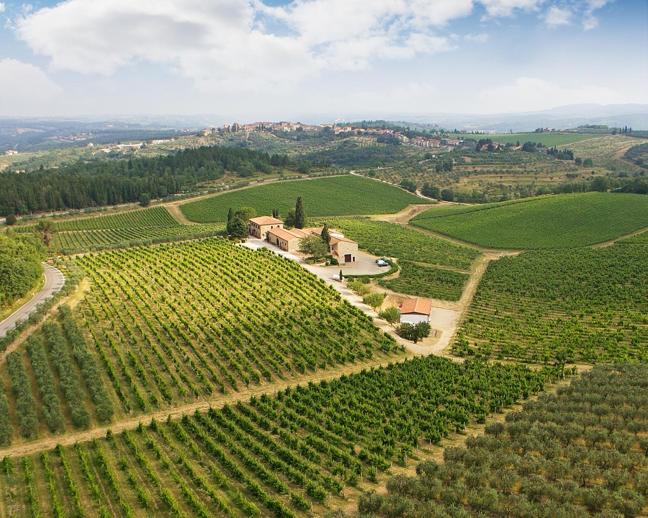 Azienda Agricola Casa Emma