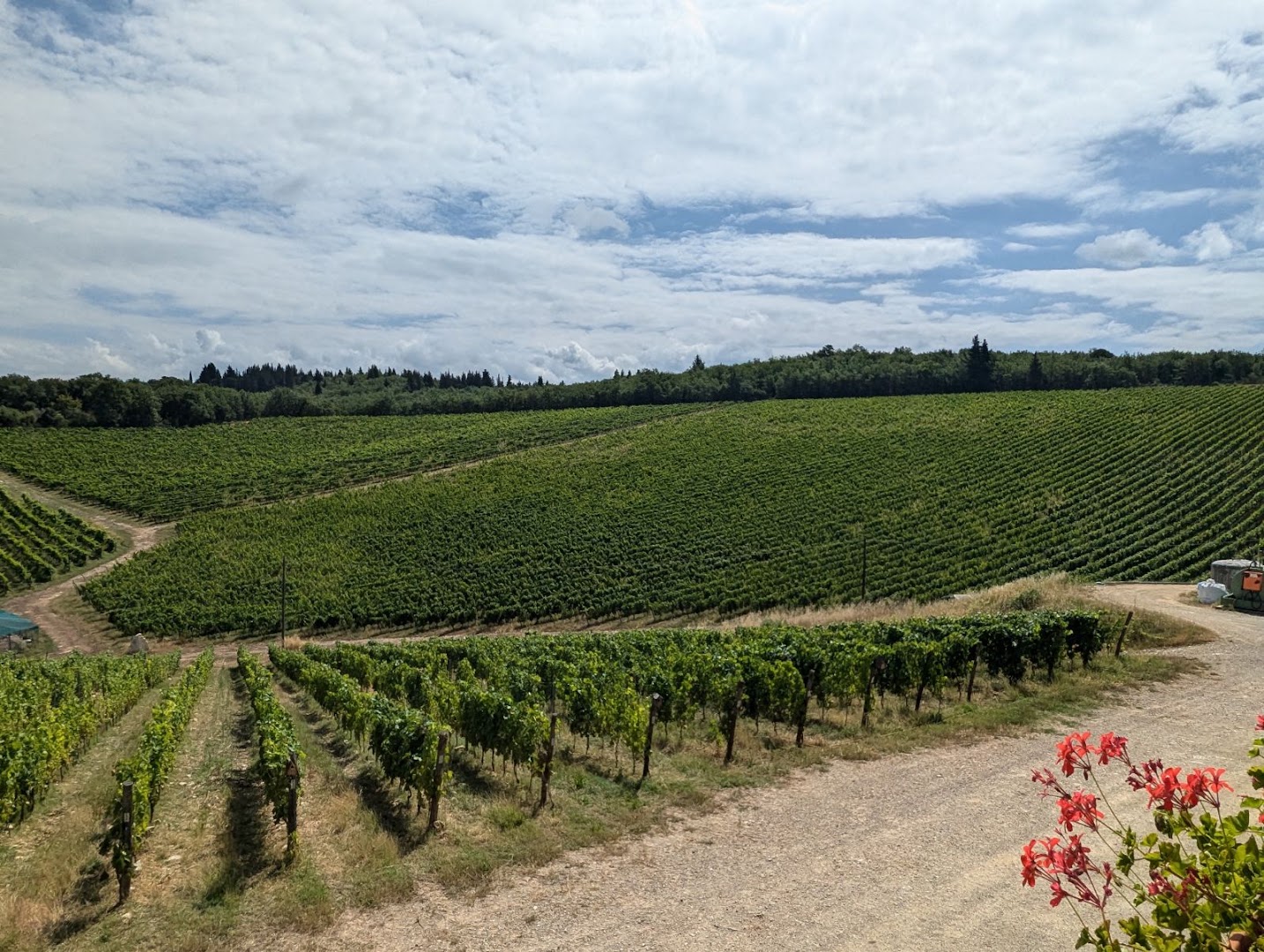 Azienda Agricola Casa Emma