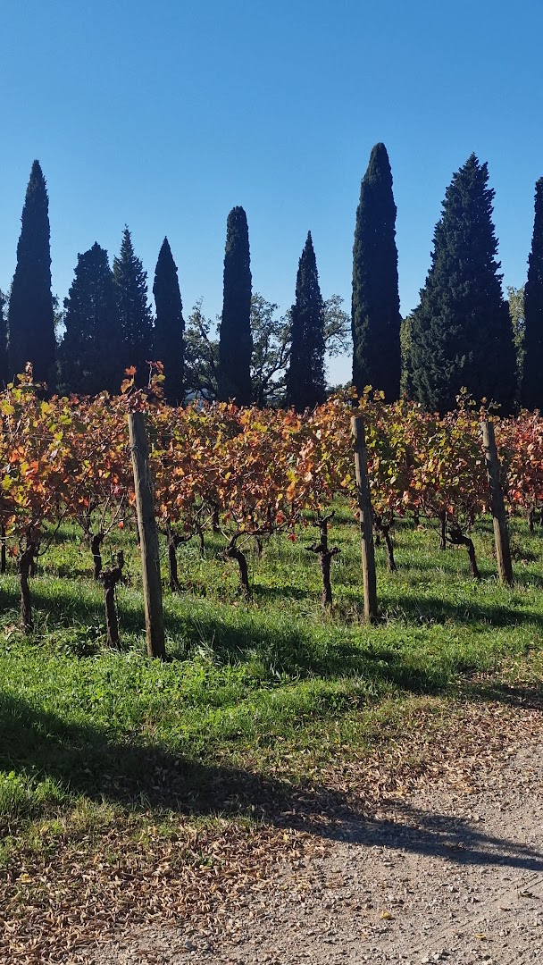 Azienda Agricola Castelvecchio