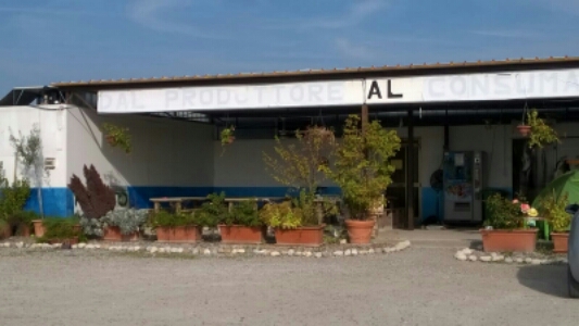 Azienda Agricola di Acerbi Giovanna Fruttivendolo Gastronomia