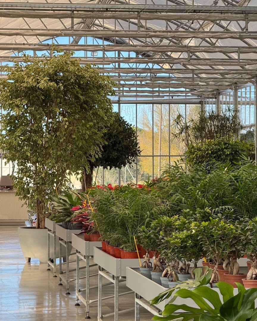 Azienda Agricola di Floricoltura Carallo