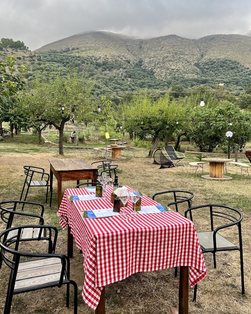 Azienda Agricola Donna Clara