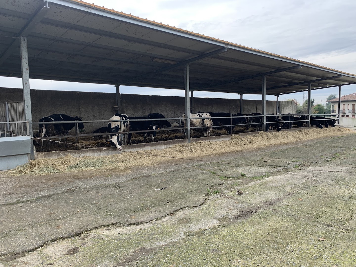 Azienda Agricola Fratelli Riboldi - Tregasio, Triuggio