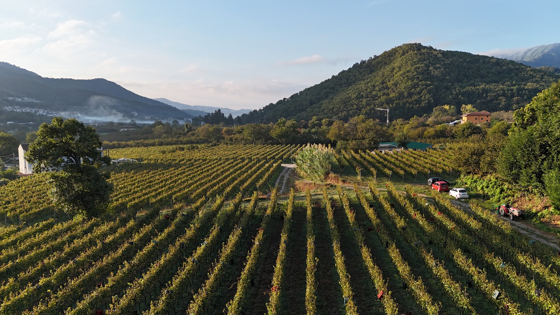 Azienda Agricola Guerritore