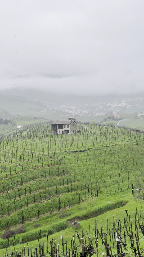 Azienda Agricola La Casa Vecchia