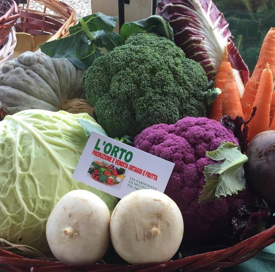 Azienda Agricola L'Orto | Produzione e Vendita Ortaggi e Frutta
