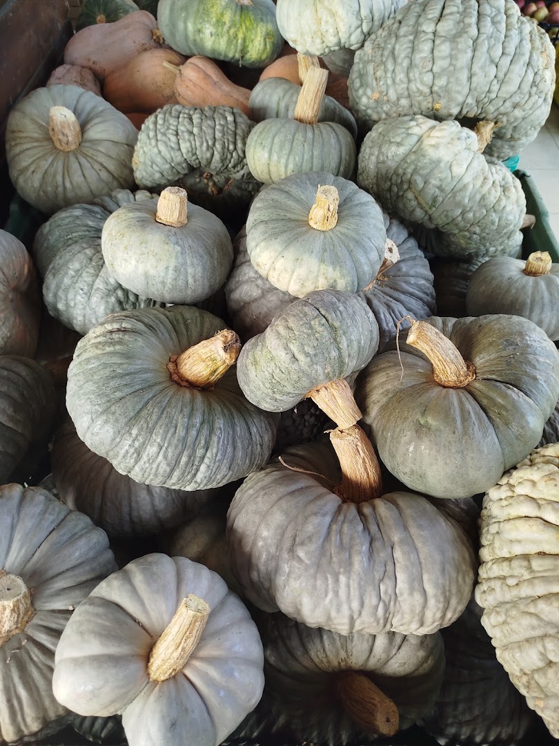 Azienda Agricola L'Orto | Produzione e Vendita Ortaggi e Frutta