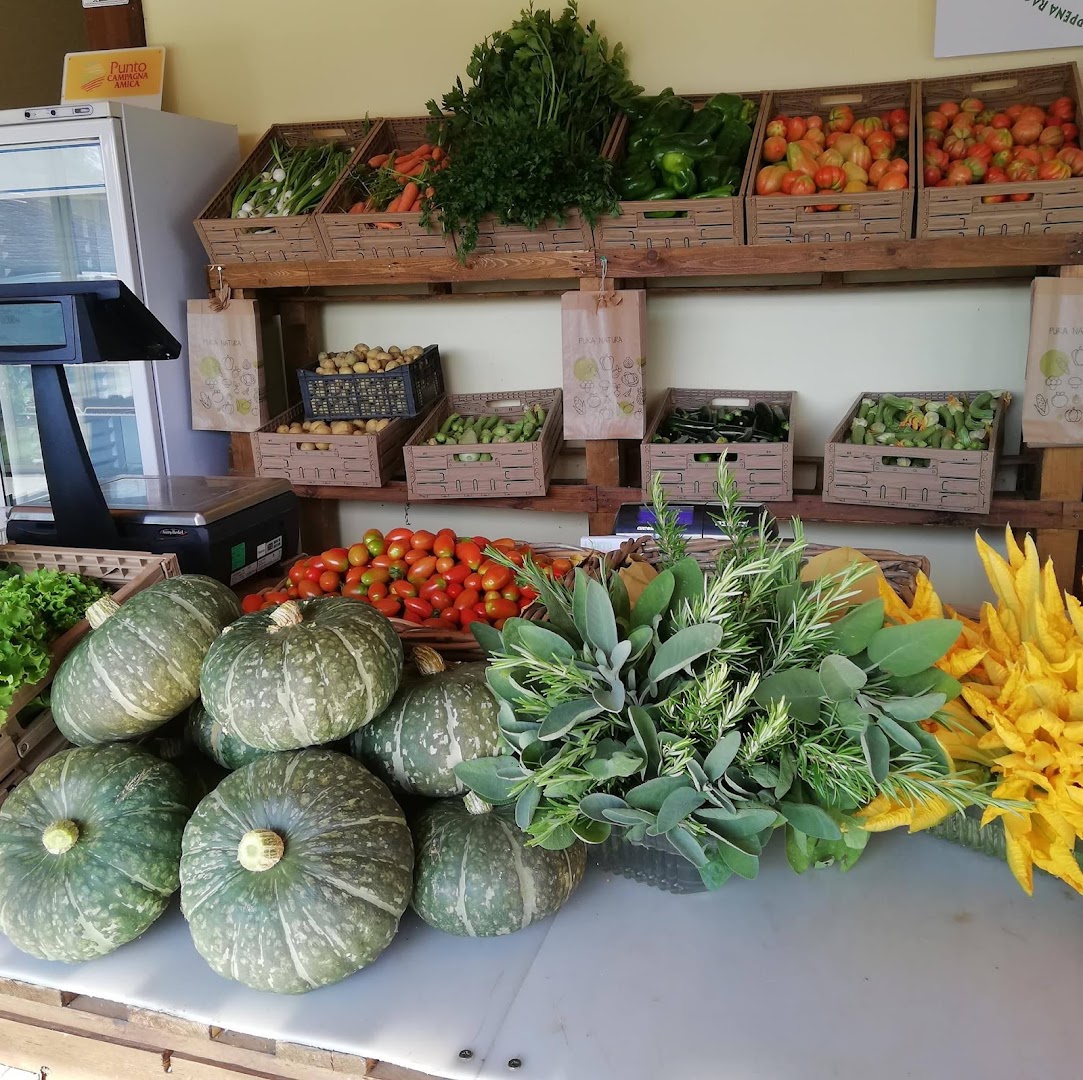 Azienda Agricola L'Orto | Produzione e Vendita Ortaggi e Frutta