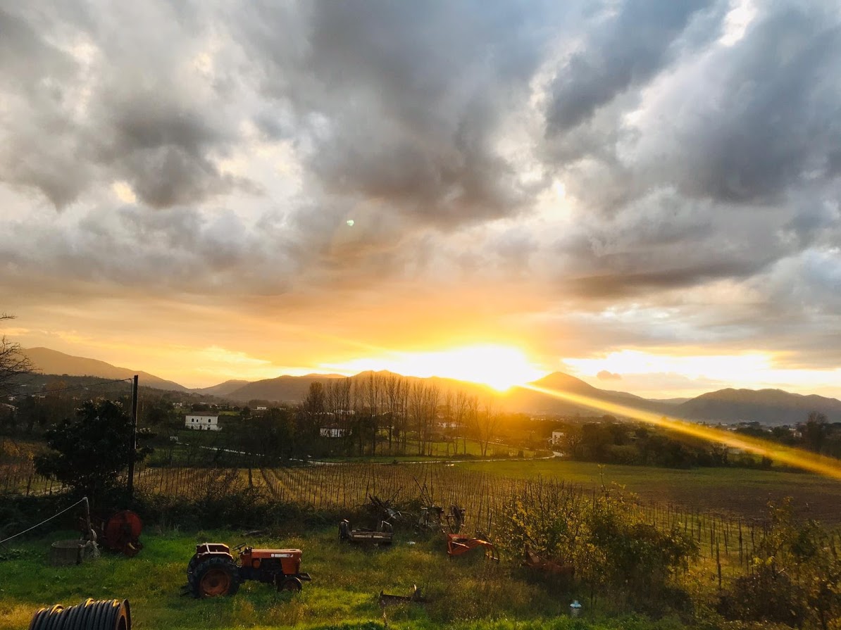 Azienda Agricola Meoli, Dugenta