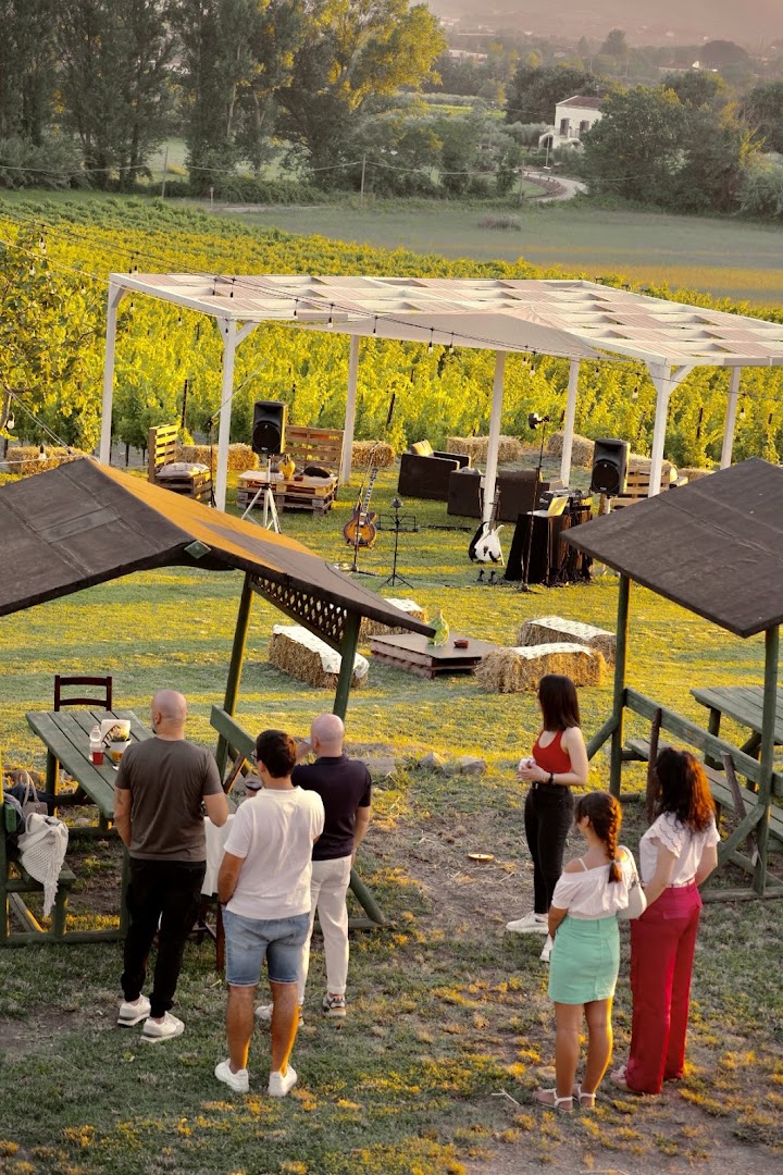 Azienda Agricola Meoli