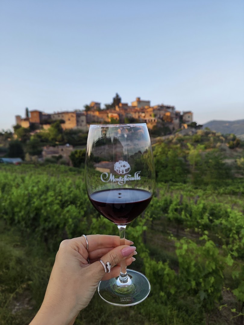 Azienda Agricola Montefioralle Winery