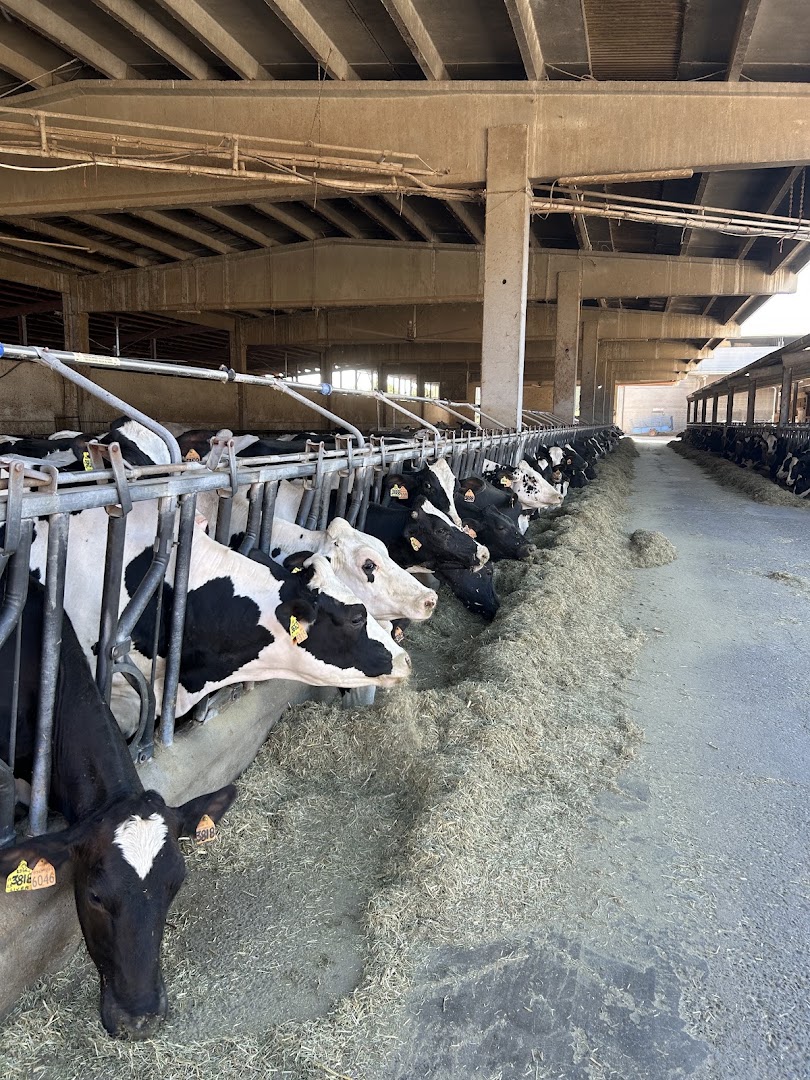 Azienda Agricola Moscattini