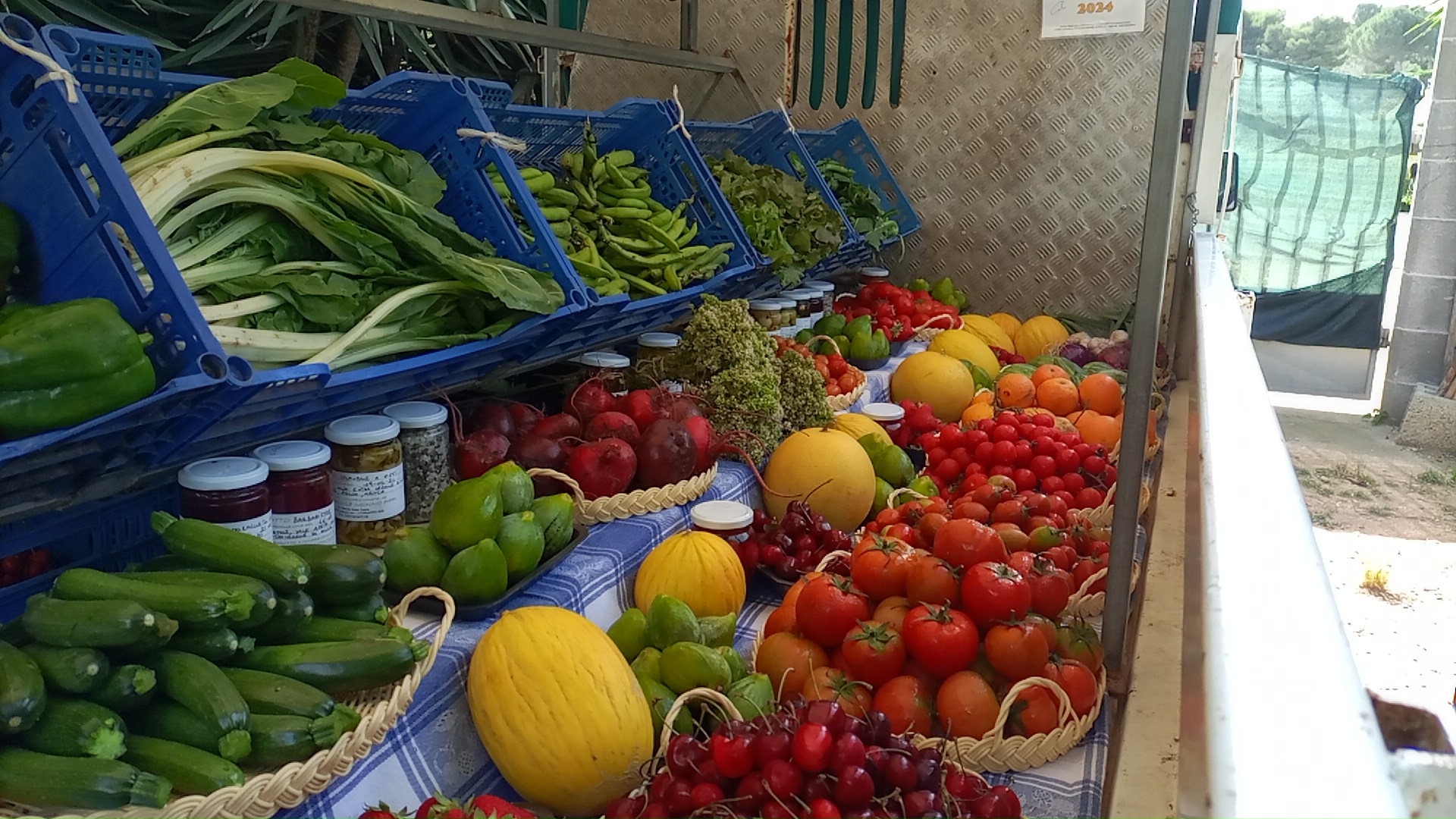 Azienda Agricola Nonno Pippi