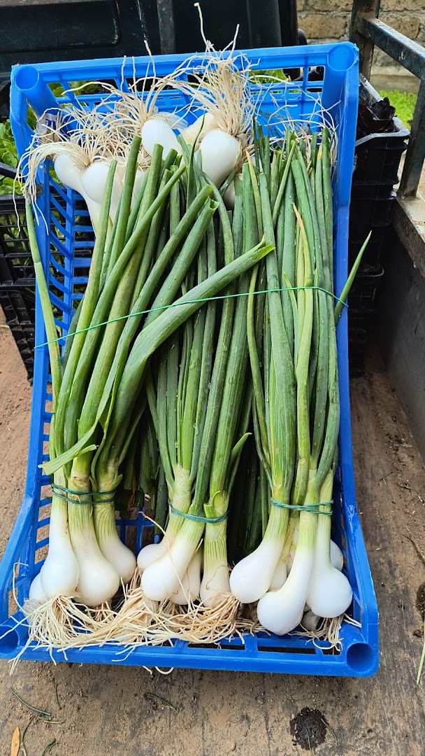 Azienda Agricola Pazzetta
