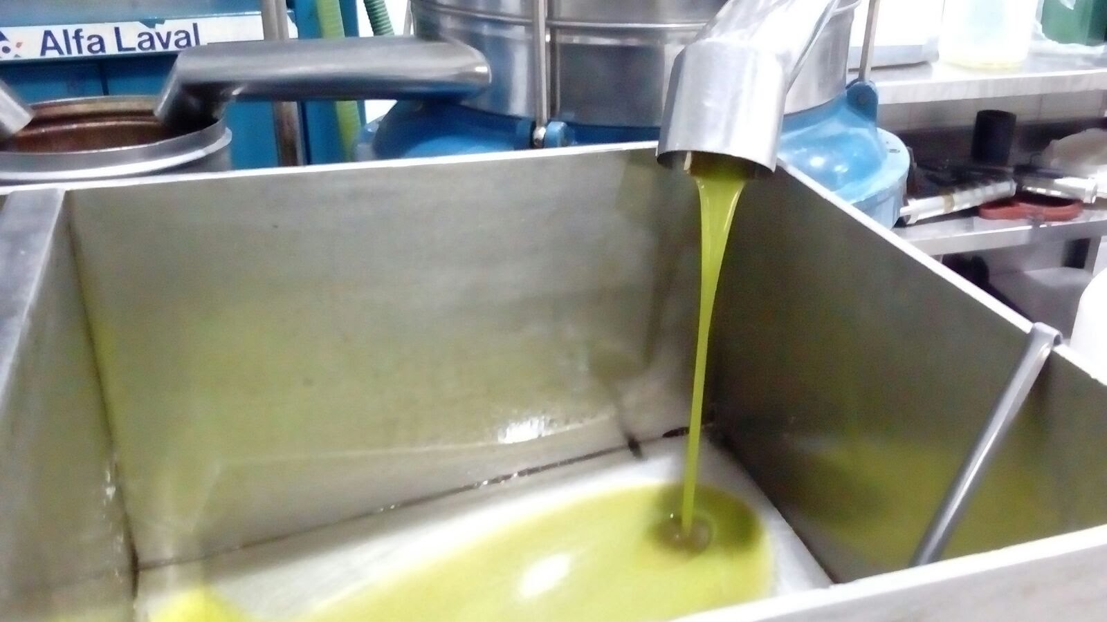 Azienda Agricola Podere L'Uccellare